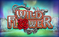 Wild Flower logo
